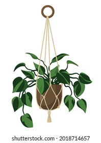 Vector green flower in a hanging brown pot of macrame planters. Green flower in a flat style isolated on a white background. Homemade flowers in the Scandinavian style