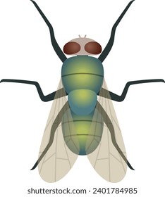 vector of a green fly