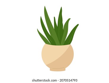 Vector verde aloe vera fresco en una olla, cosméticos naturales de aloe, plantas medicinales, cuidados faciales y corporales, procedimientos de belleza, autocuidado en estilo plano aislado en fondo blanco