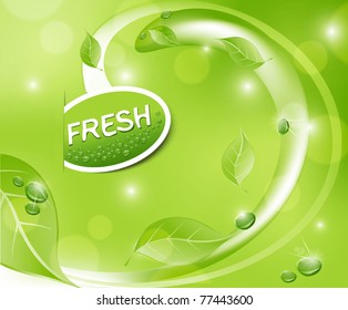 Vector Green Fresh Background With Leaves And Drops