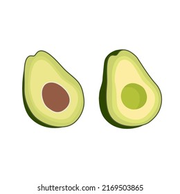 Vector green fresh half cut avocado side view isolated on white background