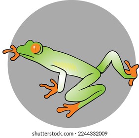 vector green frog in the forest