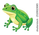 Vector a green frog on the white background