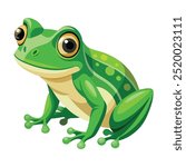 Vector a green frog on the white background