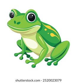 Vector a green frog on the white background