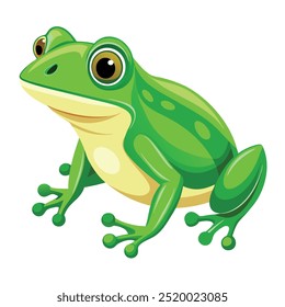 Vector a green frog on the white background