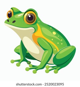 Vector a green frog on the white background