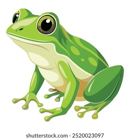 Vector a green frog on the white background