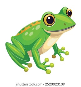 Vector a green frog on the white background