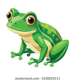 Vector a green frog on the white background