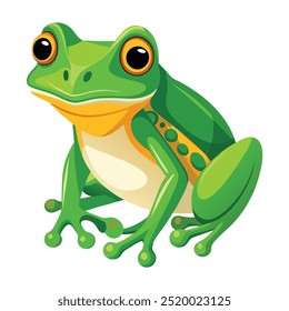 Vector a green frog on the white background