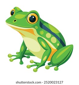 Vector a green frog on the white background