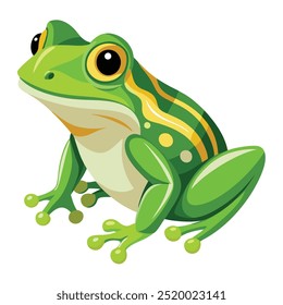 Vector a green frog on the white background