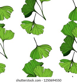 Vektor Green Ginkgo-Blatt. Pflanzenpflanzliches Blumenblatt im Garten. Gravierte Tintenkunst. Nahtlose Hintergrundmuster. Tapete-Tapete-Druckstruktur.