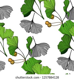 Vector Green ginkgo leaf. Plant botanical garden floral foliage. Engraved ink art. Seamless background pattern. Fabric wallpaper print texture.