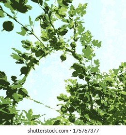 Vector green gooseberry bush on blue background.