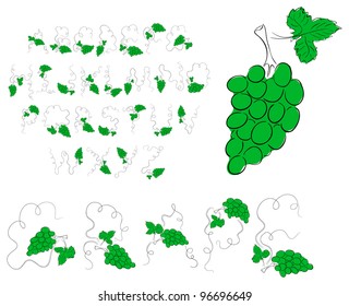 Vector green grape alphabet on a white background