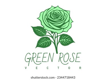 Flor de rosa verde vectorial con hojas. Logo floral. Fondo blanco aislado.