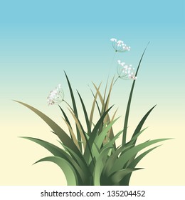 Vector Green Grass
