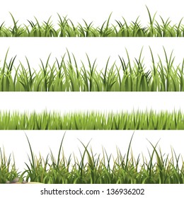 Vector Green Grass