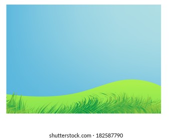 Vector Green Grass 