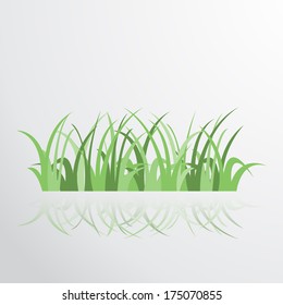 Vector green grass background