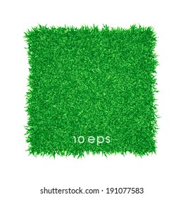 Vector - Green grass background illustration