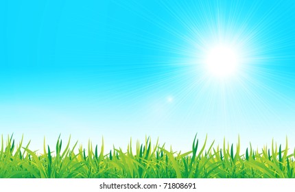 vector green grass and blue sky. Nature illustration