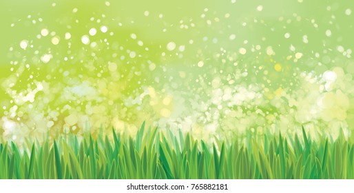 Vector  green grass border, bokeh, nature background.
