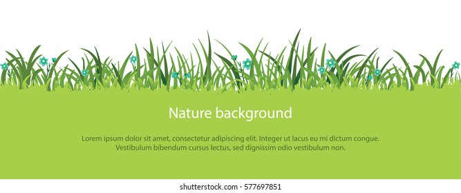 Vector green grass border with flowers, spring or summer nature background