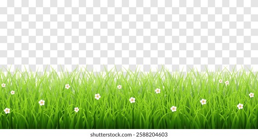 Vector green grass border isolated on png background. Spring green grass, lawn. Summer nature decoration. Transparent background