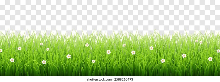 Vector green grass border isolated on png background. Spring green grass, lawn. Summer nature decoration. Transparent background 