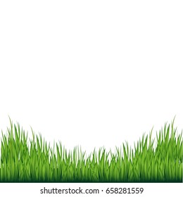 Vector green grass borders. Isolated grass on a transparent background. Vector illustration.
