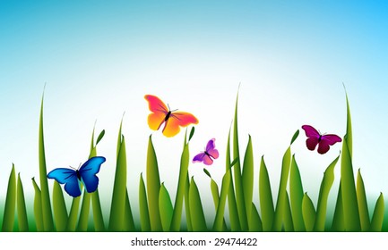 Vector green grass with the butterflies on the summer meadow
