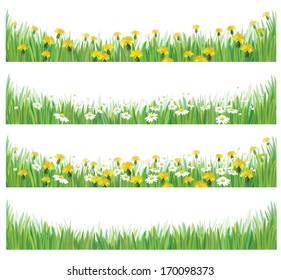 Vector green grass with chamomiles and dandelions.