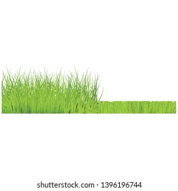 Vector green grass cut border for summer landscape design. Natural decoration element for parks, gardens or rural fields scenery. Lawn or plants object. Isolated illustration