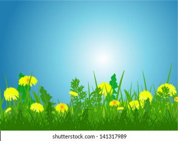 Vector green grass and dandelions on a background of blue sky