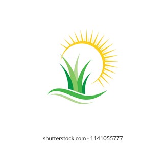 Vector green grass eco natural illustration design
