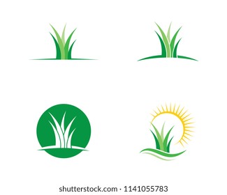 Vector green grass eco natural illustration design