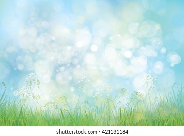 Vector green grass  and flowers border on bokeh, blue  background.