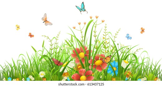 Vector green grass with flowers and butterflies on white