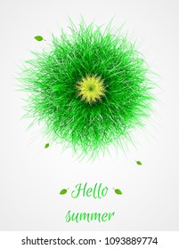 Vector green grass. Hello summer banner.