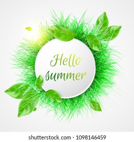 Vector green grass. Hello summer banner.