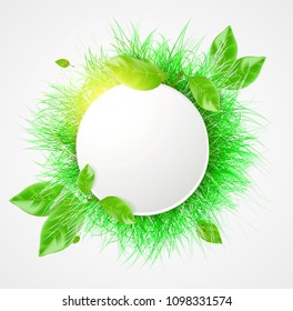 Vector green grass. Hello summer banner.