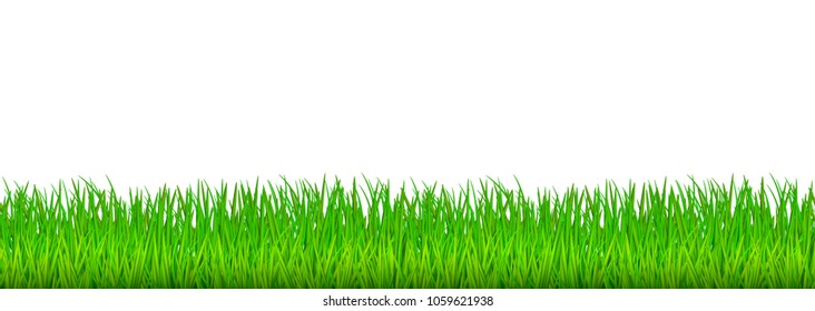 Vector green grass horizontal seamless pattern