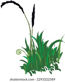 Vector green grass isolated on white background. Herbal elemert from the life of wild nature. Template, design element, illustration