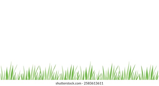 Vector green grass isolated on white background. Herbal Border, horizontal bottom edging, lawn panoramic landscape. Template, design element, illustration