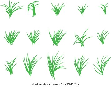 Vector green grass natural on white background.