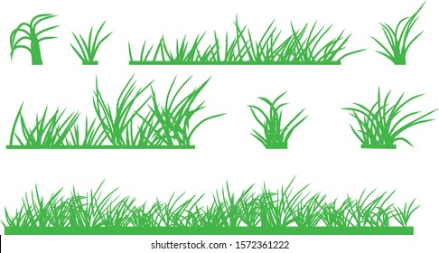 Vector green grass natural on white background.