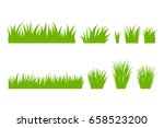 Vector green grass: natural, organic, bio, eco label and shape on white background.